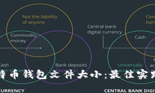 如何比特币钱包文件大小：最佳实践与技巧