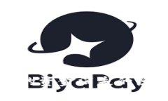 比特币钱包中的资金消失的原因与解决方案