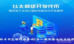 : 比特币钱包联网安全吗？深入剖析安全性与防护