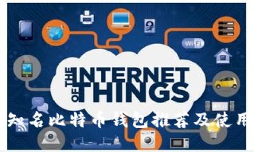 国内知名比特币钱包推荐及使用指南