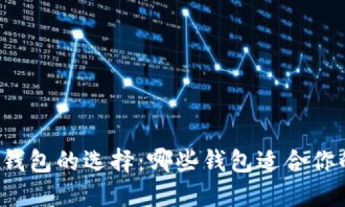 比特币钱包的选择：哪些钱包适合你的需求？