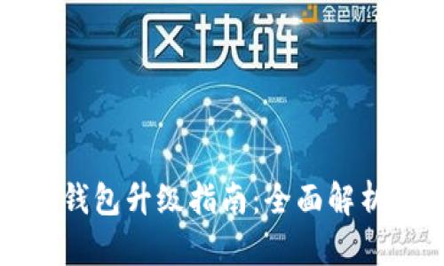 : 比特币QT钱包升级指南：全面解析与实用技巧