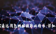 如何通过钱包地址提取比特币：详细指南