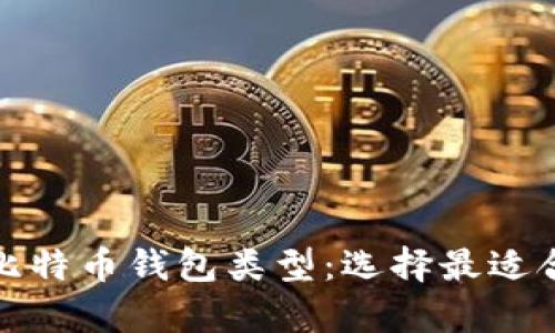 全面解析比特币钱包类型：选择最适合你的一款