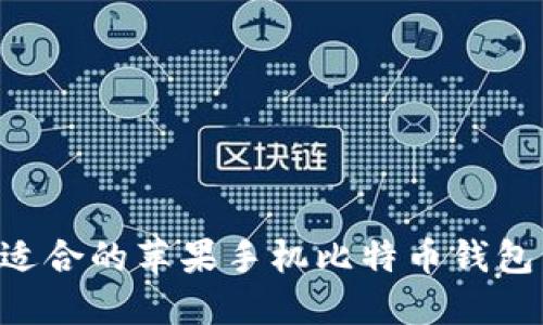 如何选择最适合的苹果手机比特币钱包：全方位指南