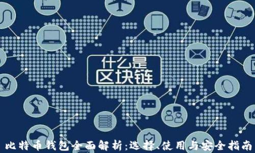 
比特币钱包全面解析：选择、使用与安全指南