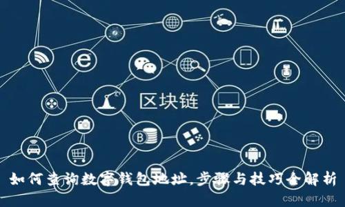 如何查询数字钱包地址，步骤与技巧全解析