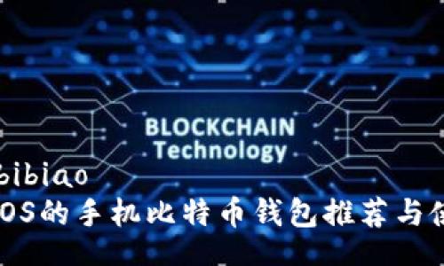 bibiao/bibiao
适用于iOS的手机比特币钱包推荐与使用指南