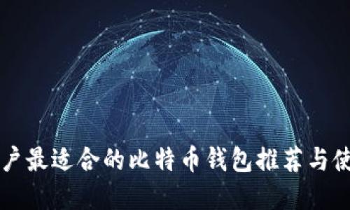 苹果用户最适合的比特币钱包推荐与使用指南